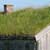 How to Make a Green Roof for Your Shed